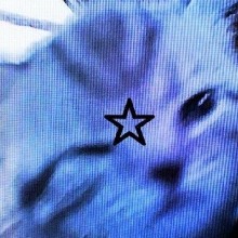Guest_Elizabeththeone