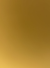 Guest_Rose217802