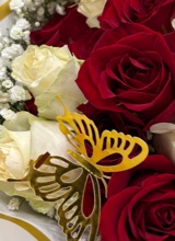 Guest_S297018