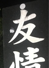Guest_pqp02
