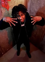 Guest_Li5ive3