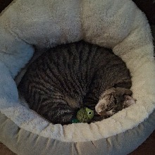 Guest_PennyTheClown