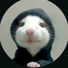 Guest_Nifler