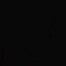 Guest_Diana197553