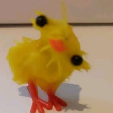 Guest_Weister