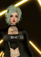 Guest_kelly607464