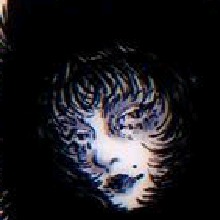 Guest_hamBy