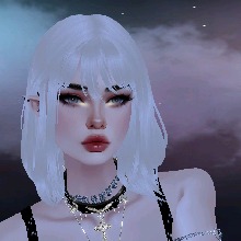 Guest_Venus717065