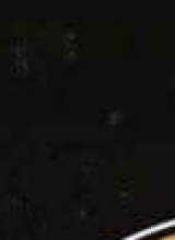 Guest_Ricky592029