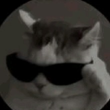 avpic