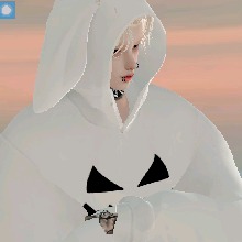 immagine avatar