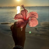 Guest_luisa574491