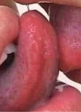 Guest_NeyniGyss