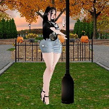 avpic