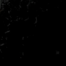 Guest_Kamily5