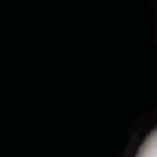 Guest_Bruja10