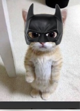 Guest_spidy12