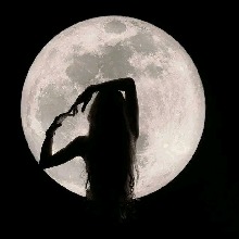 Guest_Luna604867