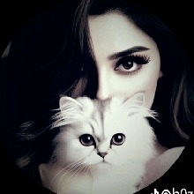 avpic