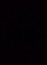 Guest_Damari4