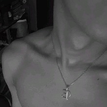 Guest_DAVIDXXX1