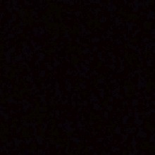 Guest_Tomi47