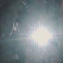 Guest_Itsmehana
