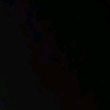 Guest_Isaas244