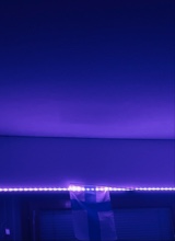 Guest_wheathollywoodce1c66