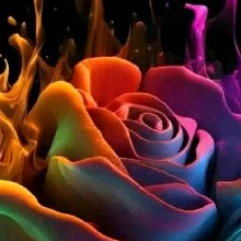 Guest_Paula33073