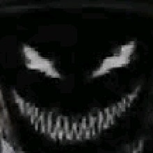 Guest_Andrs2