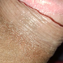 Guest_DYLAN429465