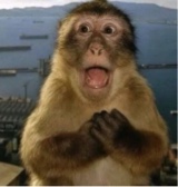 Guest_kaboe