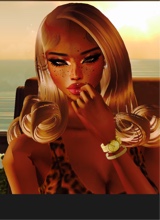 Guest_Jordan513778