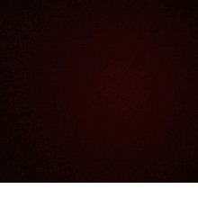 Guest_Oscar6251
