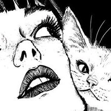 immagine avatar