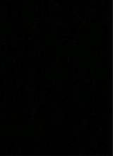 Guest_henrique1219