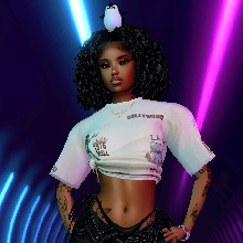 Guest_Wandao1