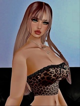 Kat243679