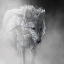 Guest_TheKinggg