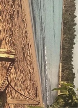 Guest_ValeriVeras