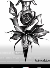 Guest_jasmine867416