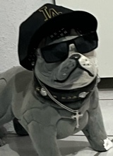 Guest_gonth1