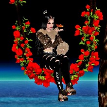 Guest_Katha65