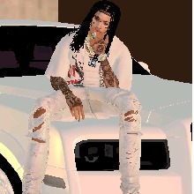 BOSSTOP300