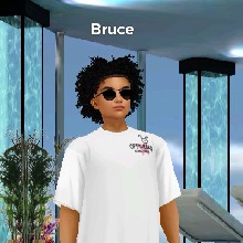 Guest_Bruce846474