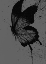 Guest_Malena24