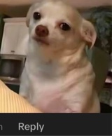 Guest_KiaraDatGuhh