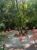 Guest_Mariposa0110