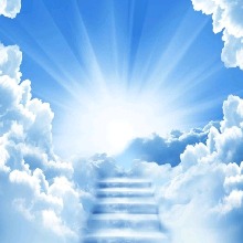 Guest_SARA517242